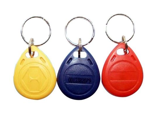 Customized Size RFID Key Fob Tag 13.56MHz 125KHZ with SLI SLI-X Chip